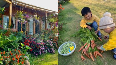 Rời Sài Gòn về Lâm Đồng, bà mẹ 2 con đổ mồ hôi trồng hoa trái và rau sạch, tìm bình yên trong khu vườn nhỏ