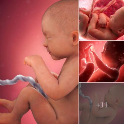 Discover the hidden wonders of the baby in the womb that will captivate your heart – The Secret of the Unborn: Unveiling the Adorable Surprises!