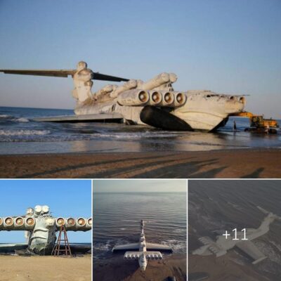 The Monster of the Caspian Sea: A Fabled Plane Decaying on a Beach