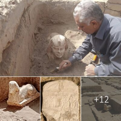Archaeologists have found a sphinx with dimples and a happy face in Egypt