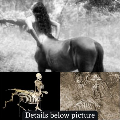 Ancient Discovery: Centaur Skeleton Unearthed from 1980
