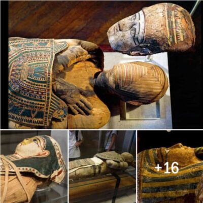 Ancient Egyptian Mummy: The Man Behind the Mask ‎