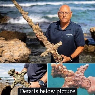 900,000-year-old Crusader sword discovered at the bottom of the Mediterranean Sea still has sharp iron