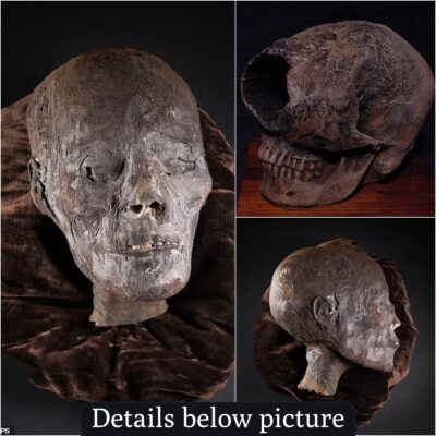 A 2,800-year-old mummified head from Egypt hits the auction block in England