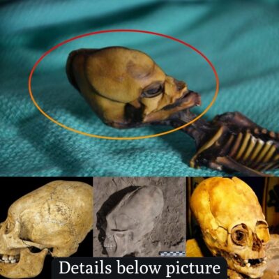 Debate Ignites Over Miniature Remains Suspected to Be ‘Alien’ Found in Chile