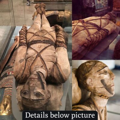 Decoding the Mysteries of Sophisticated Egyptian Mummification (circa 3500 BC)
