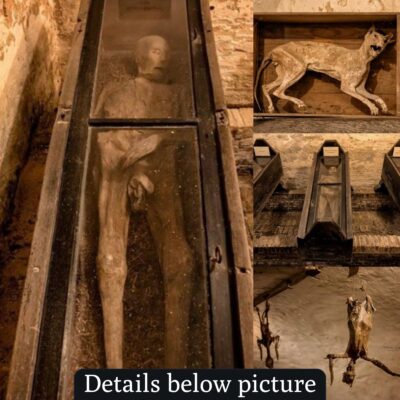 Journey into the Mysteries of the Centuries-Old Vault in Friesland, Netherlands, Housing the Enigmatic Mummy of Wiuwert