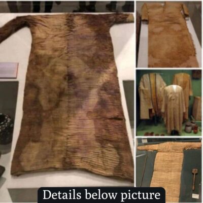 Journey to Antiquity: Unveiling the Egyptian Museum’s 4,500-Year-Old Tunic, a Window into Ancient Civilization