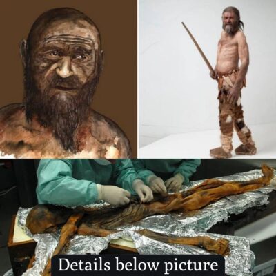 Ötzi Mummy: In 1991, two German mountaineers discovered , a frozen mummy in the Ötztal Alps