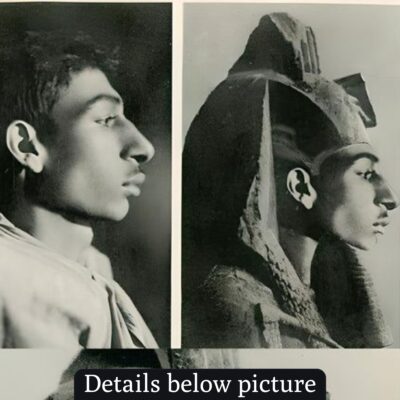 Pharaoh Akhenaten: mad, bad, or brilliant?