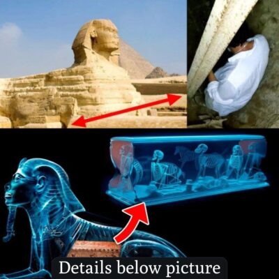 Secret Tunnel Found Under The Great Sphinx Of Giza