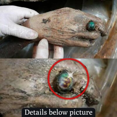 The Mystery of a 700-Year-Old Chinese Mummy Unraveled