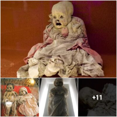 The captivating assembly and mysterious preservation of ancient bodies are showcased in the Young Mummies of Guanajuato, Mexico