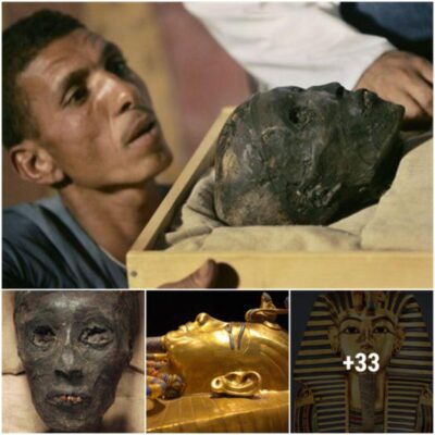 Tutankhamun’s Enigmatic Tomb: Exposing the mysteries that preserve their enigma