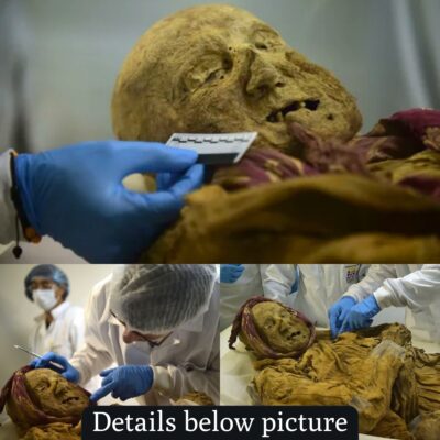 Unearthed Legacy: 16th Century Mummy Discovered in Ecuador After Earthquake