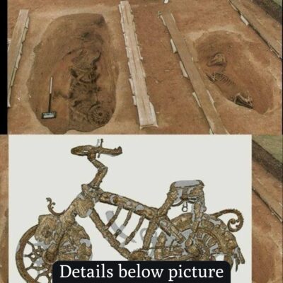 Unexpected revelation: 2,000,000-year-old medieval tomb discovered the bicycle of a rich family at that time, prompting a reassessment of history..