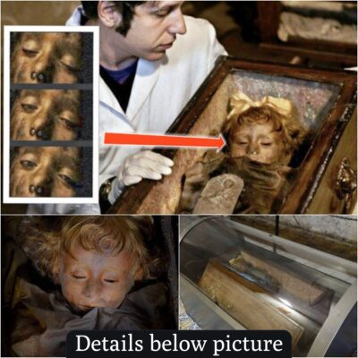 Unveiling the mystery of the 3,000,000-year-old mummy: The enigmatic phenomenon of little girl Rosalia Lombardo’s eyes