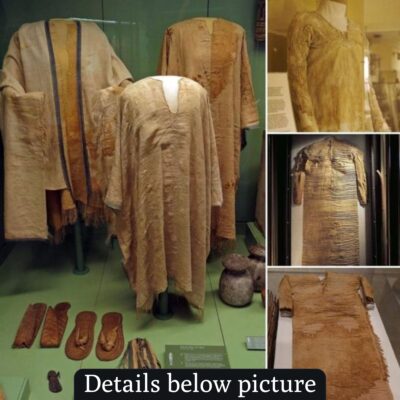 A Journey Through Time: The Egyptian Museum’s Ancient 4,500-Year-Old Tunic Unveiled