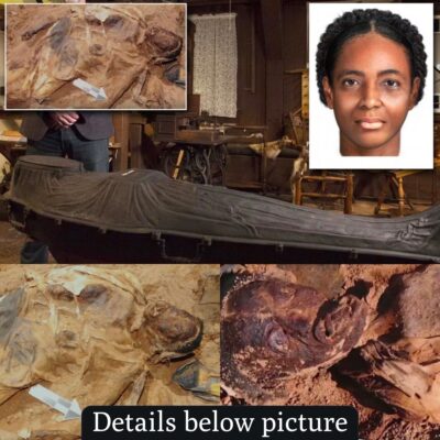 Cracking the Code: The Woman Who Was Buried in a 150-Year-Old Iron Coffin in New York Has Her Identity Revealed