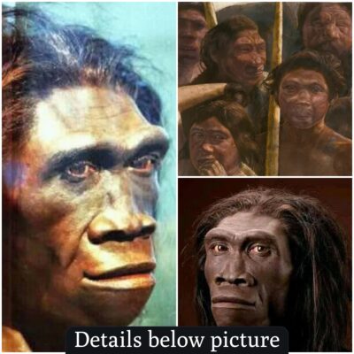 Genetic Encounters: Denisovans’ Interbreeding with Early Humans Along South Asian Coast