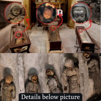 Macabre Discovery: Investigating the Mystery of Mummy Children in the Capuchin Catacombs