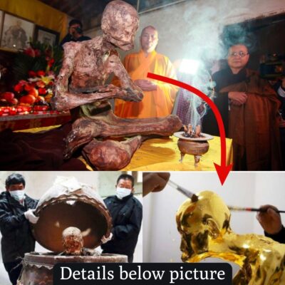 Mummification and Gilded Adornment of a Venerated Chinese Buddhist Monk