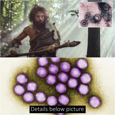 Oldest Known Human Viruses Discovered In 50,000-Year-Old Neanderthal Remains