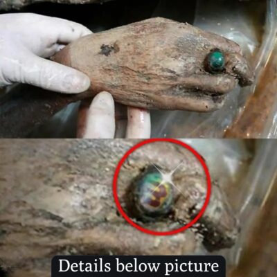 Revealing surprising mummification formula: 700-year-old Chinese mummy is still intact