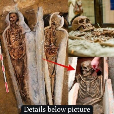 Sawn Off Skull Found in Mystery Notre Dame Coffin Hints at The Life of a Nobleman