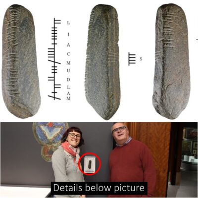 Stone with 1,600-year-old Irish inscription found in English garden