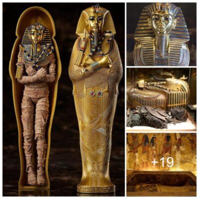 The Mummy’s Curse has puzzled the best scientific minds since 1923, when Lord Carnarvon and Howard Carter discovered King Tutankhamun’s tomb in Egypt