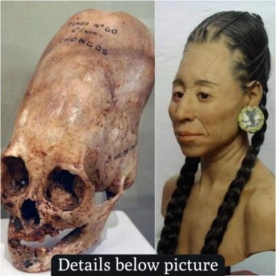 The Mystery of the Elongated Skulls Discovered at Paracas Peninsula in 1928