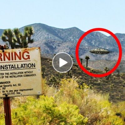 The Unsolved Extraterrestrial Life Mystery: Area 51 and the UFO Phenomena.