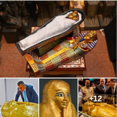 The truth within a 2,100-year-old solid gold coffin from the 1st century BC, which was stolen and then transported from the US to Egypt