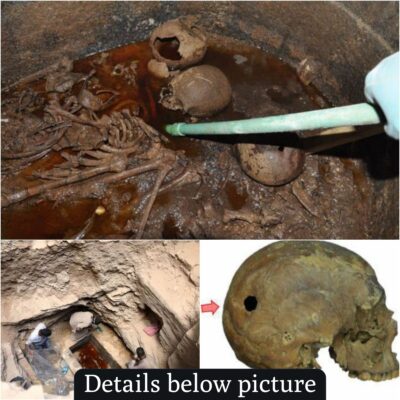 Unraveling an Egyptian Enigma: Investigating the Fate of an Ancient Mummy Within a ‘Cursed’ Sarcophagus