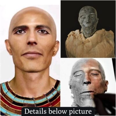 Reconstruction of the Facial features of The Mummy of king Seti the first and he is one of the kings of 19th dynasty