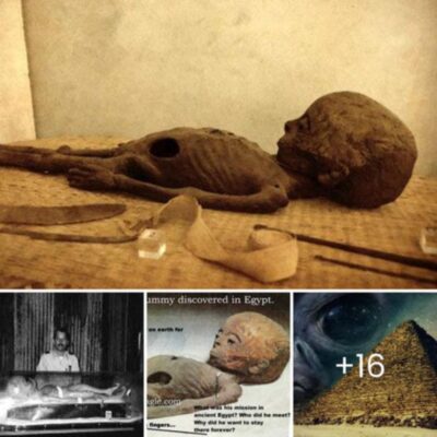 Alien mummy claims within Giza’s Great Pyramid spark speculation
