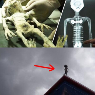 Extraterrestrial Encounter: Alien Spotted on Residential Rooftop!