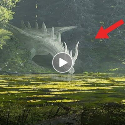 Fisherman Captures Astonishing Footage of Dragon-Like Alien Drinking Water