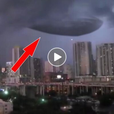 Orlando’s Night Sky Dazzles with UFO and Mysterious Flying Orbs in a Spectacular Light Show