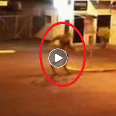 A security camera captures a strange alien creature strolling casually through city streets at midnight