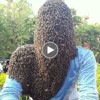 Daily, a man astounds the world by hosting millions of bees on his face to produce honey