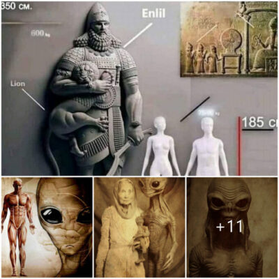 Humans Are The Product Of Alien Engineering: 97% Of Uncoded DNA In Homo Sapiens Is Extraterrestrial